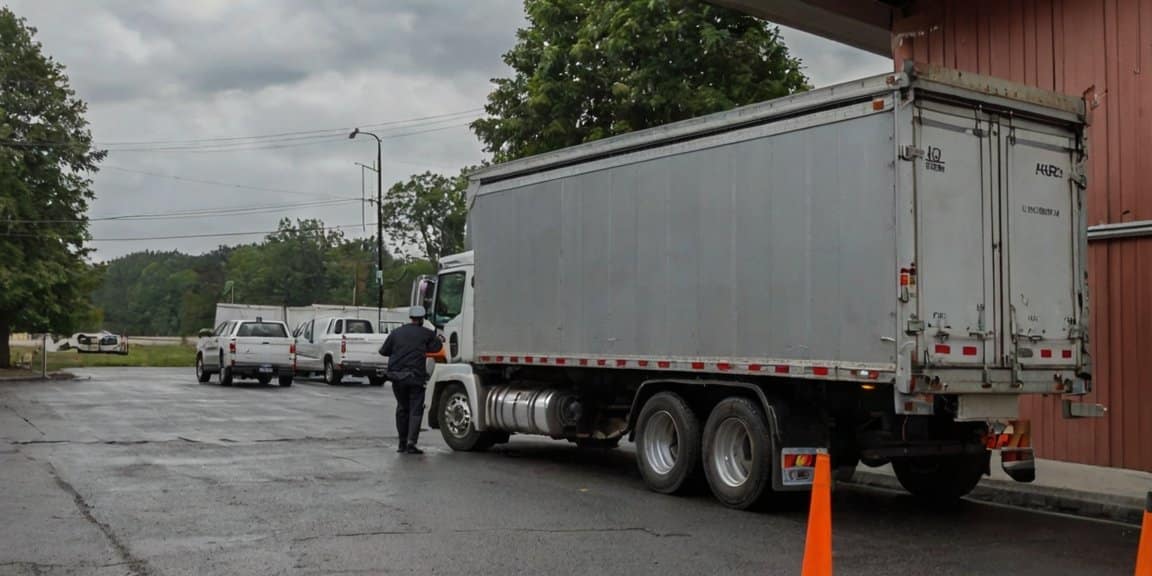 Vehicle Registration and Driving License