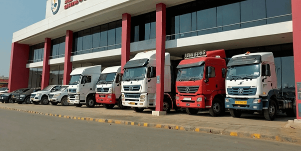 Vehicle Registration and Driving License